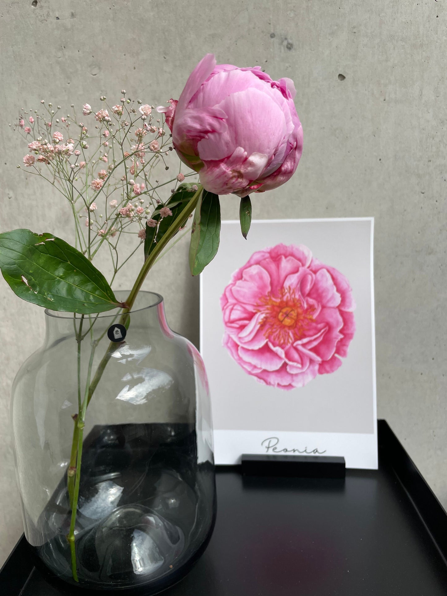 Poster/Kunstdruck - Peonia