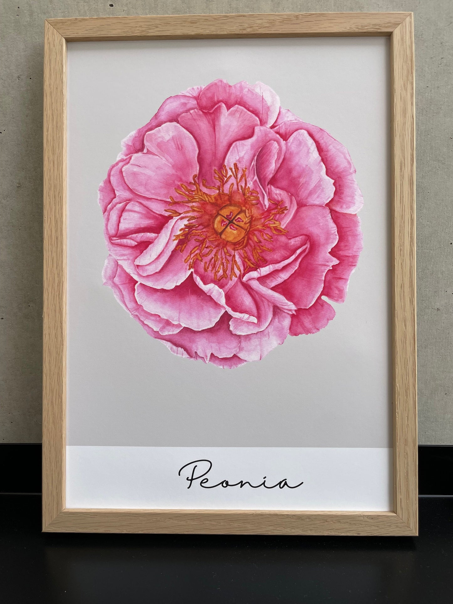 Poster/Kunstdruck - Peonia