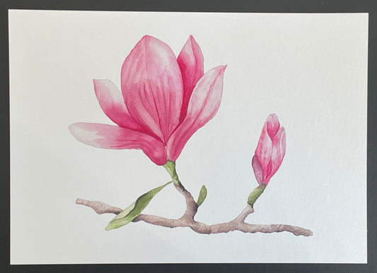 Poster/Kunstdruck - Magnolienzeit